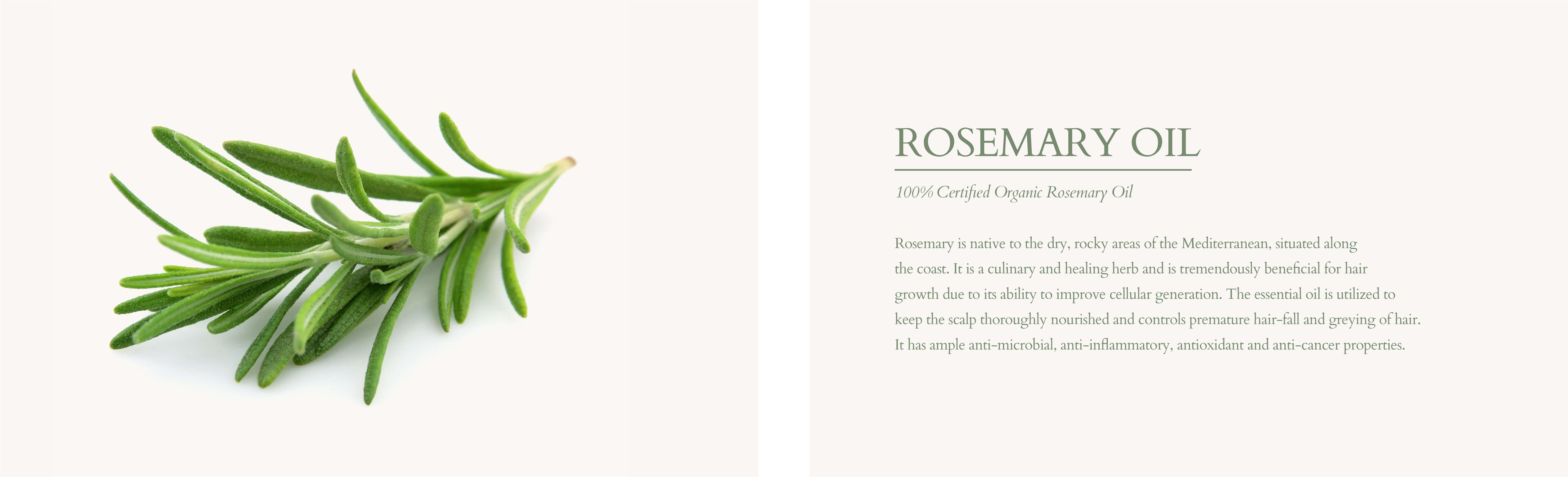 Organic rosemary oil for hair