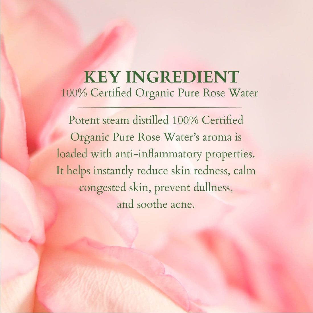 100% PURE ROSE FLORAL WATER - Lotus Organics