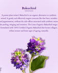 Bakuchiol Plant Retinol Radiance Essentials