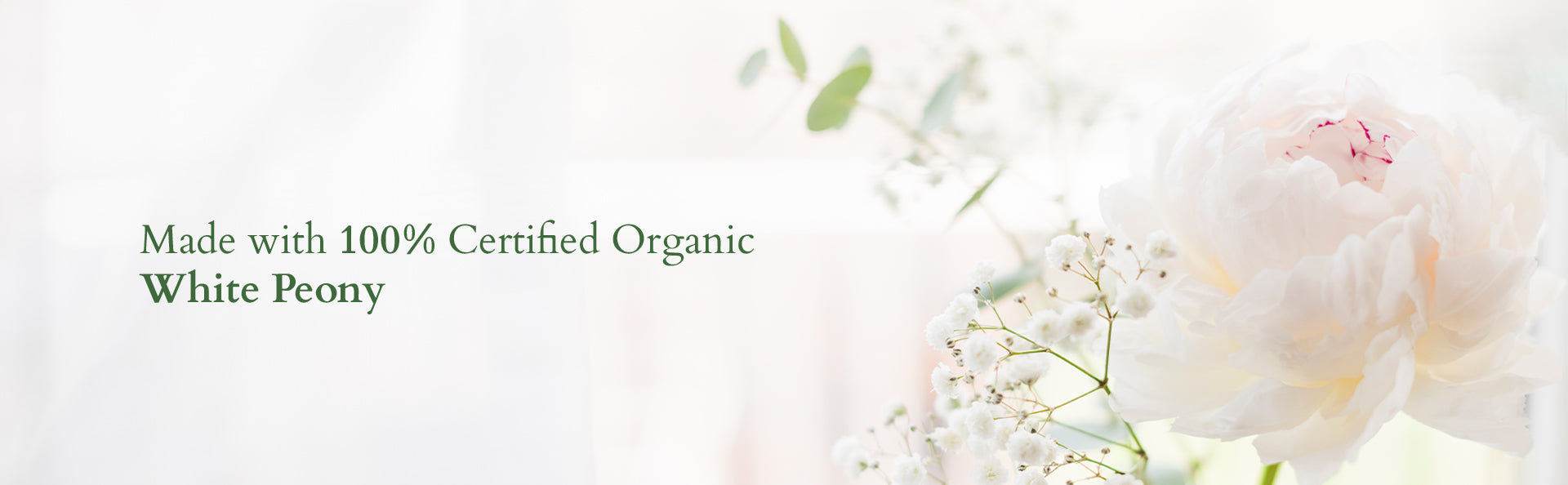 Lotus organics