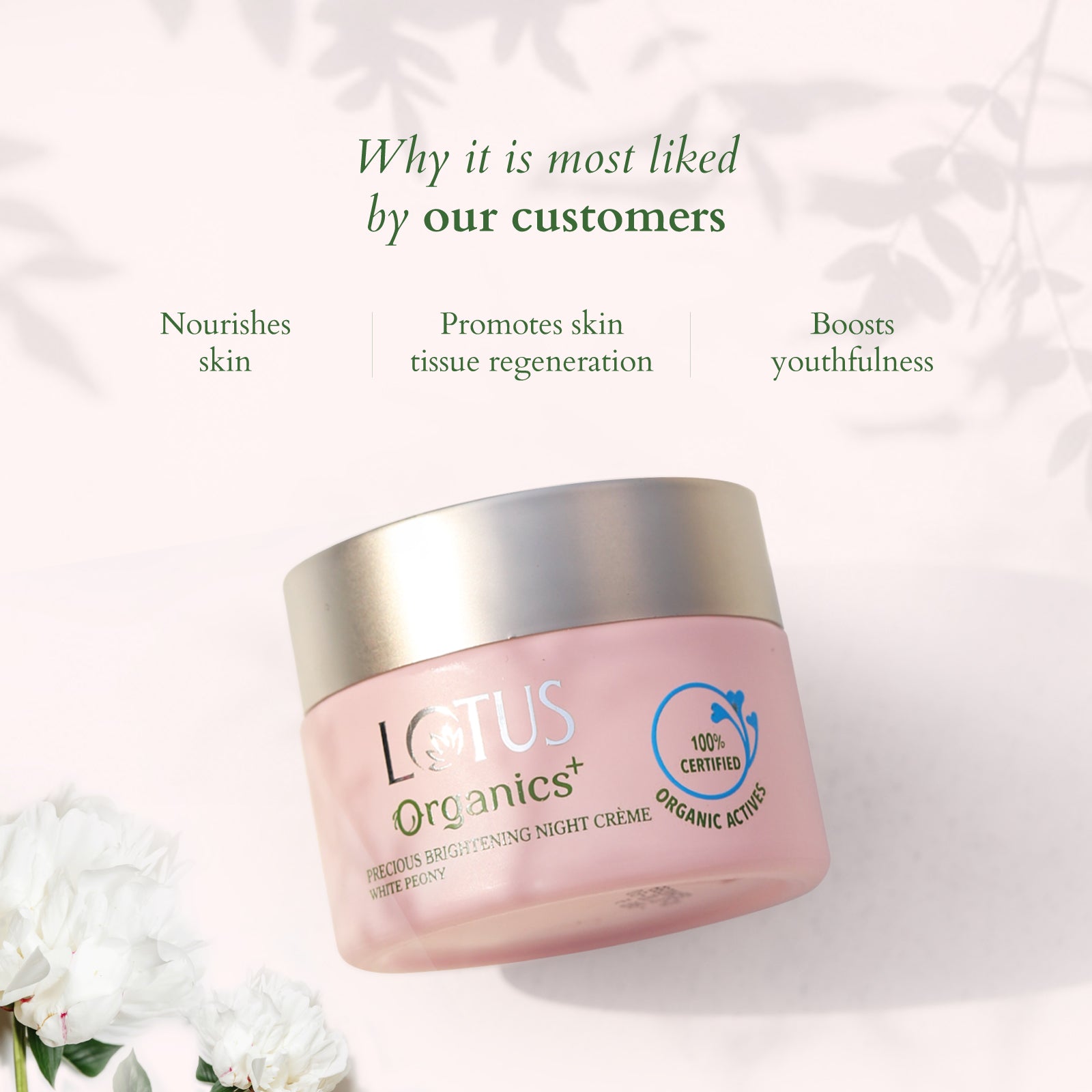 Lotus Precious Brightening Night Creme