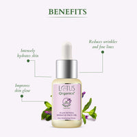 Benefits for Plant retionol miracle face oil
