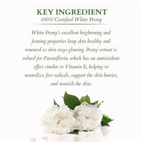 Key ingredients for Precious brightening night cream