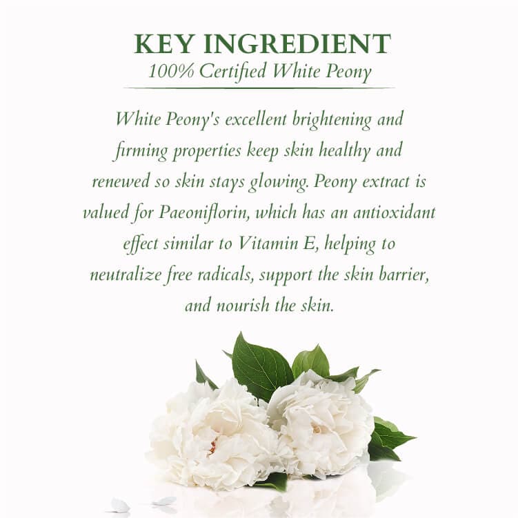 Key ingredients for Precious brightening night cream