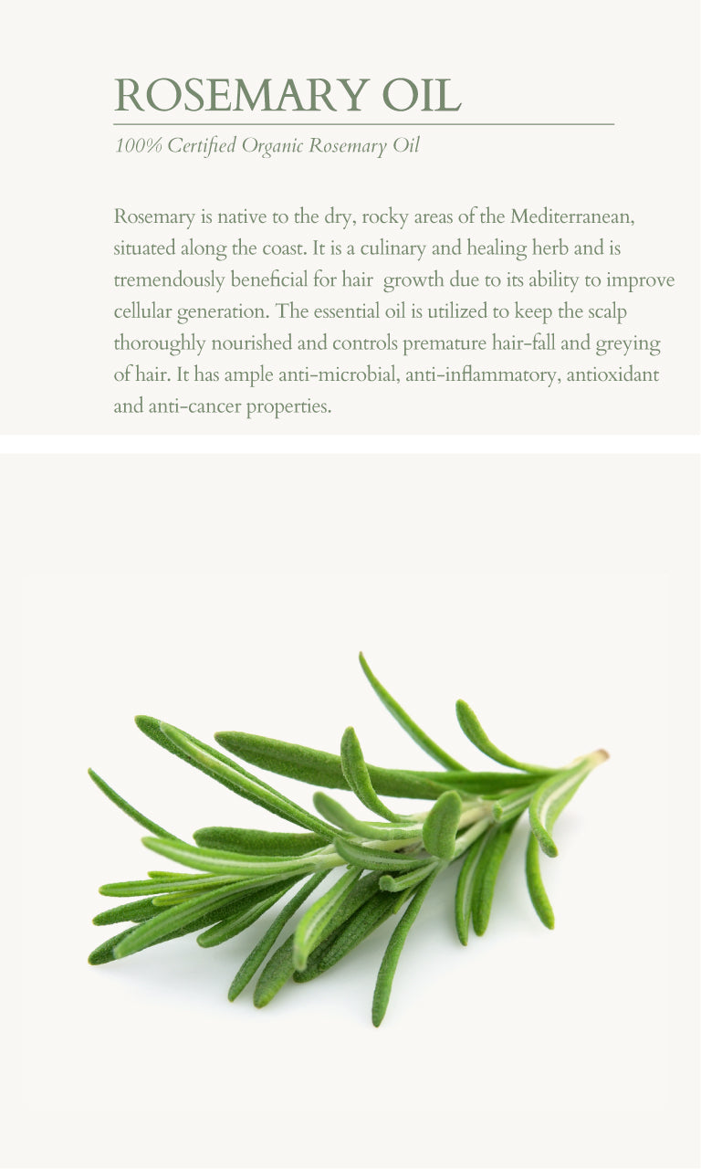 Ingredients Page Rosemary Oil 732df72c 106a 4a73 babc 305a0c4aaab0