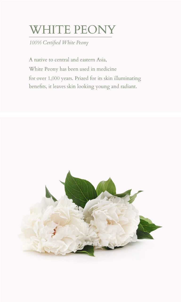 Ingredients Page White Peony