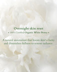 Precious Brightening Overnight Indulgence Regime