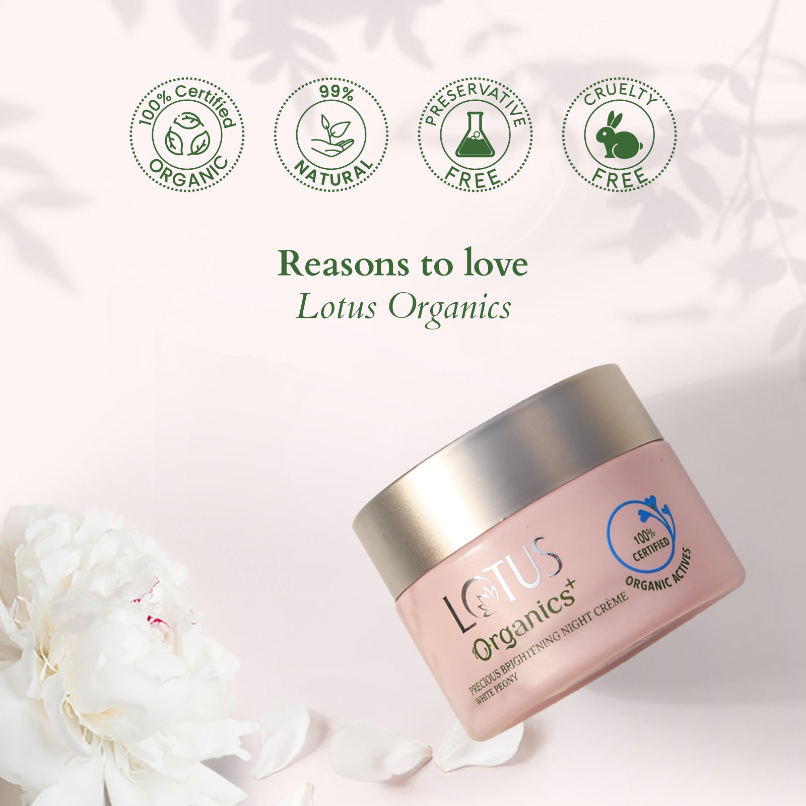 Lotus Precious Brightening Night Creme