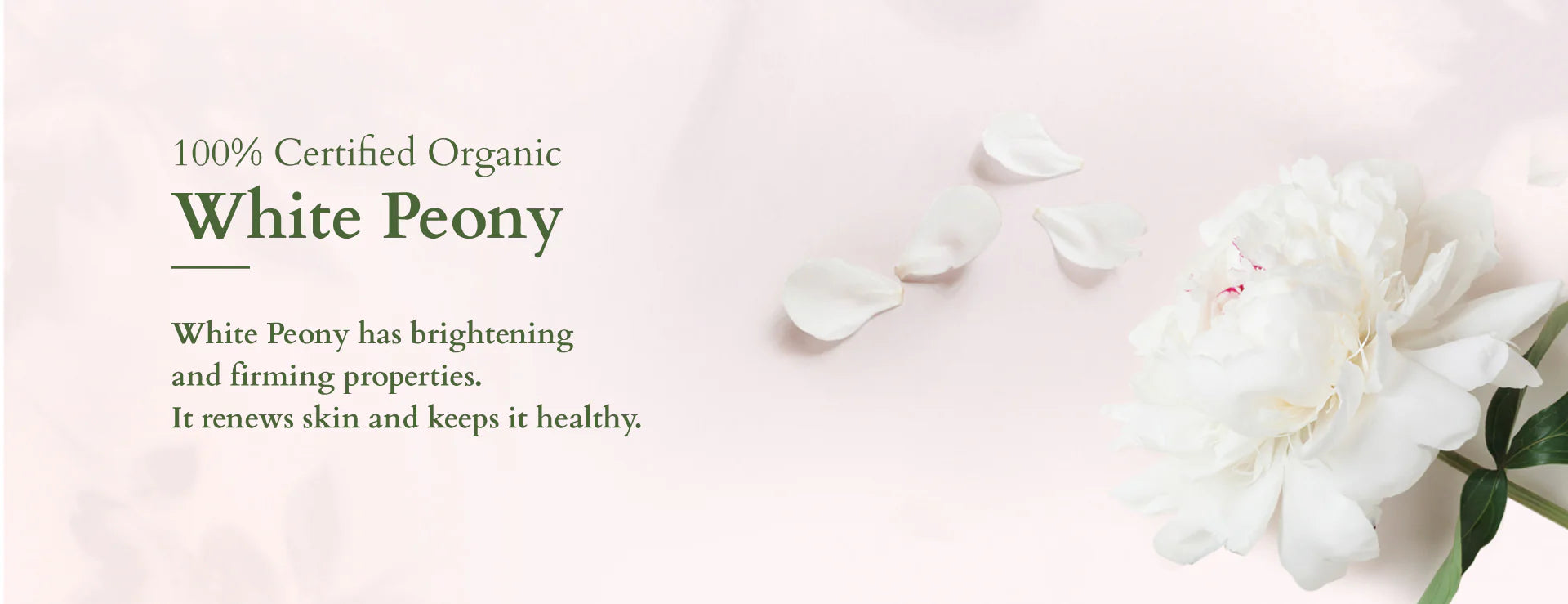 Lotus organics