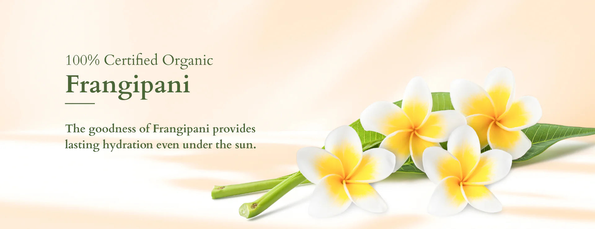 Lotus organics